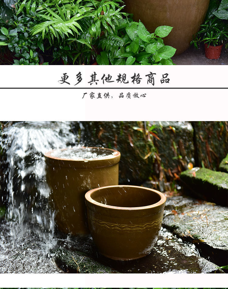 9fb63af5-81fb-4b10-86c8-a1198ba9e421.jpe