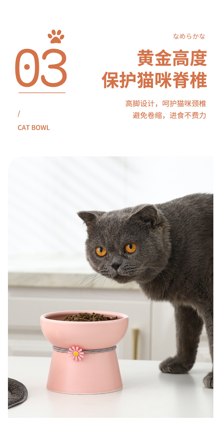 宠物碗_07.jpg