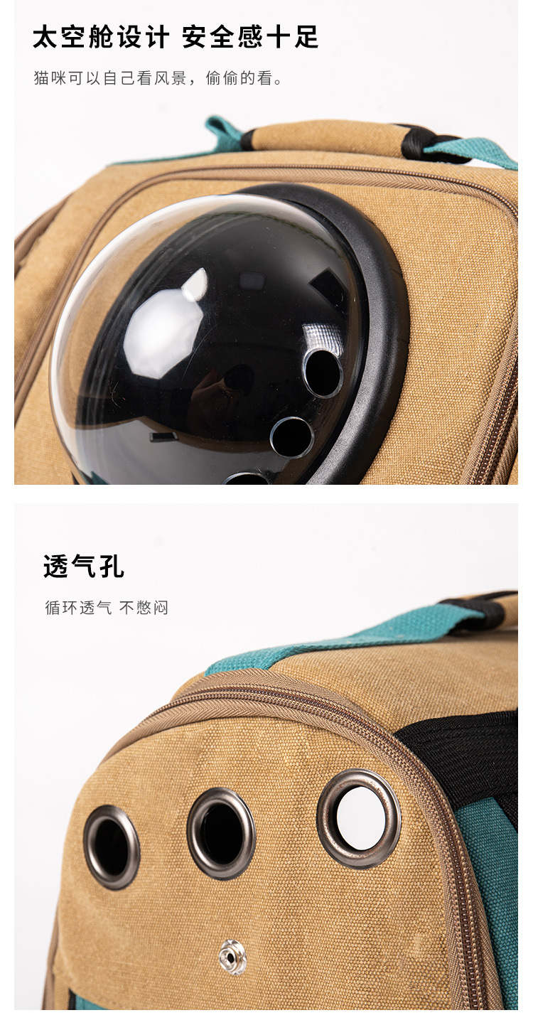猫包1-珏航_04.jpg