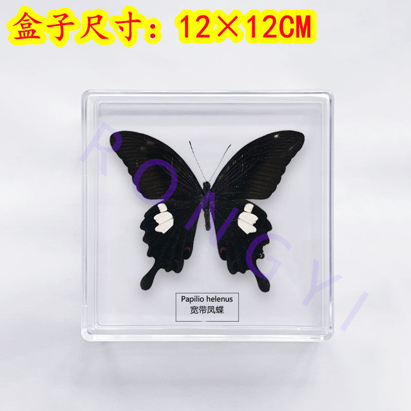 4f20216d-a00d-43de-a086-fa8124d3bb87.jpe