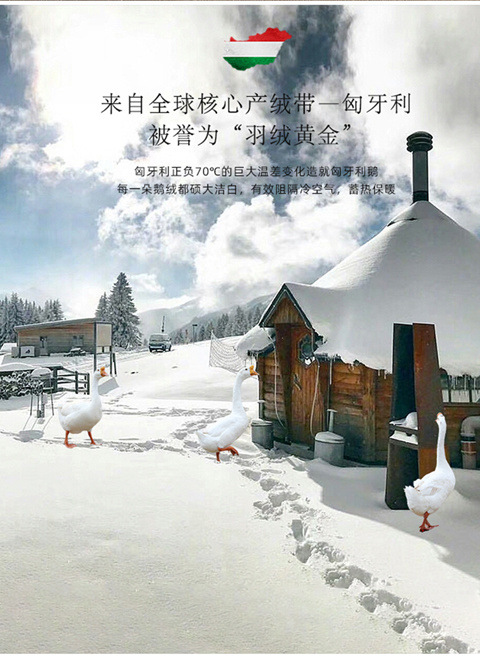 8e552583-7166-4301-ac35-c76bb4d46921.jpe