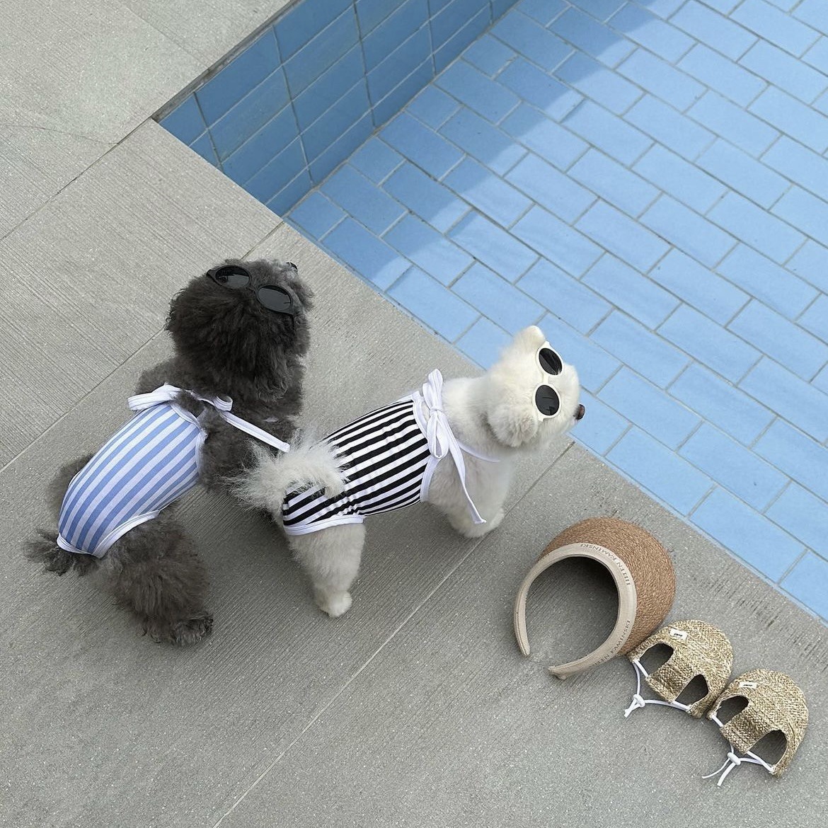 微信图片_20230530161724