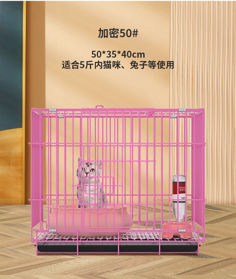 d2798f79-6f9a-445d-aba5-8d5b1bc9ca9a.jpe