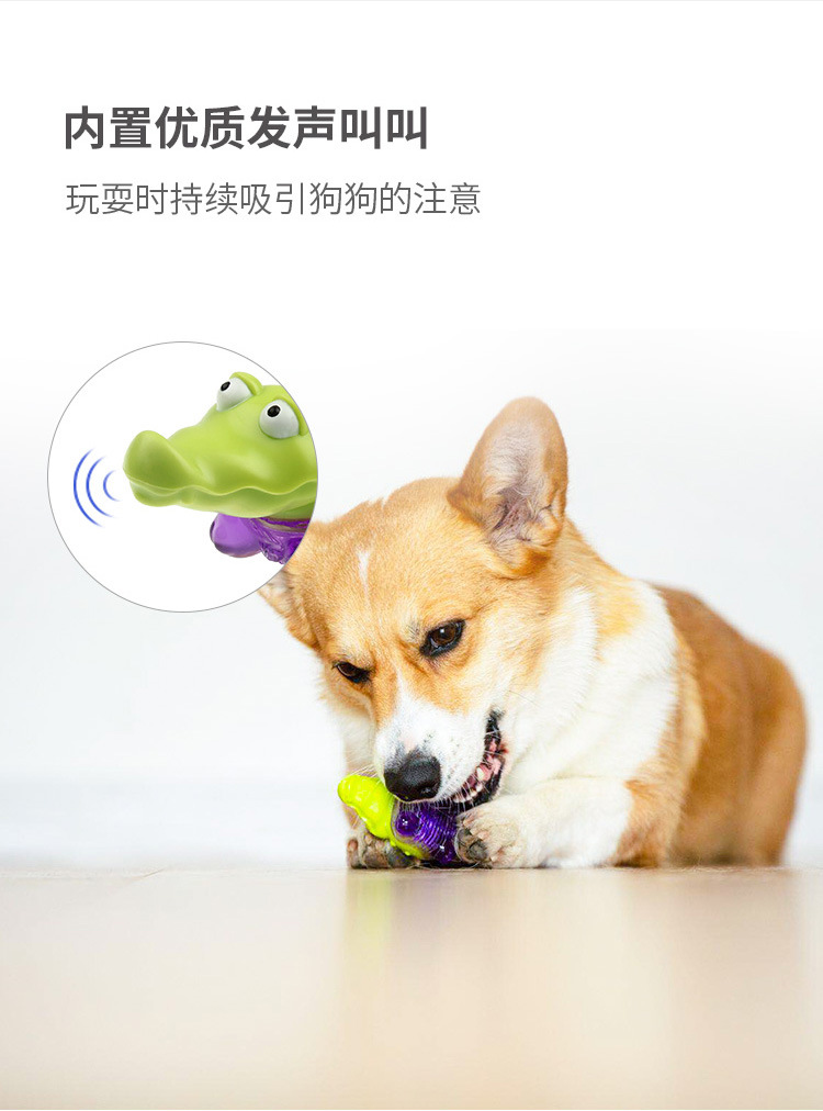 贵为12Q仔描述5.jpg