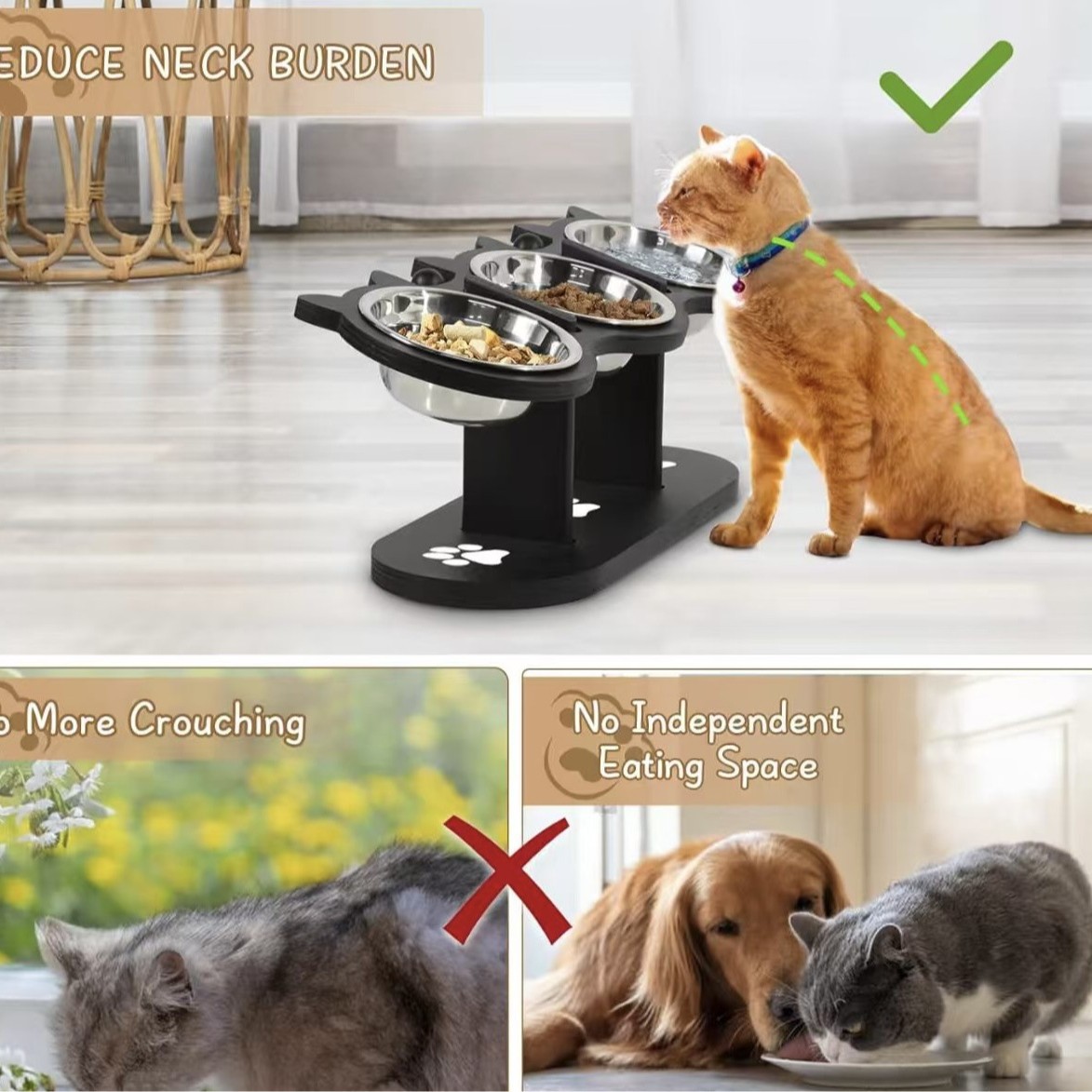 2025-06-29 14:41:04.jpg