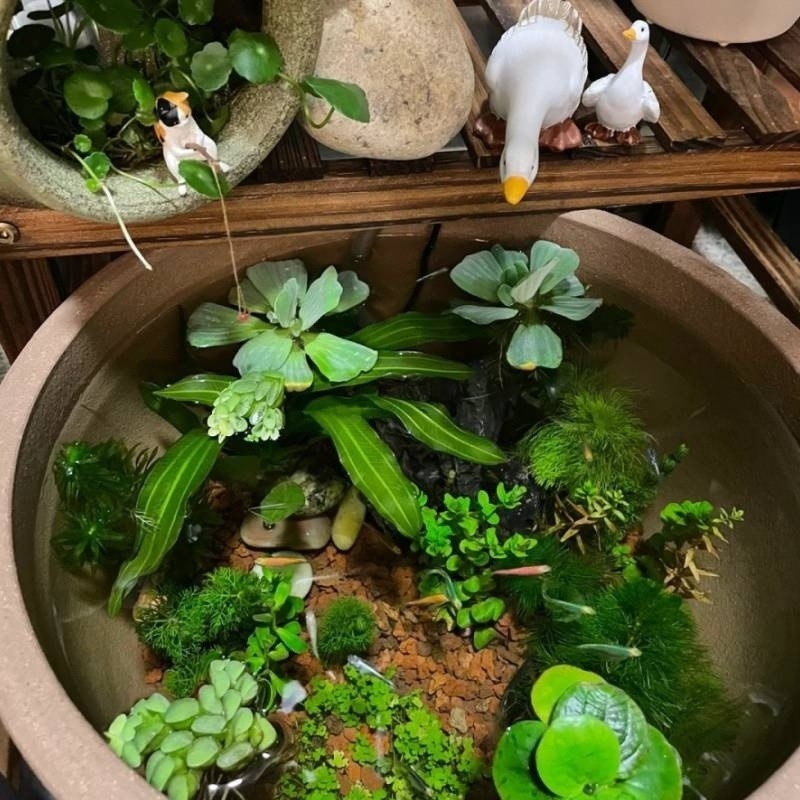 68622c11-d2b9-4af4-b869-23ae6b7bd553.jpe