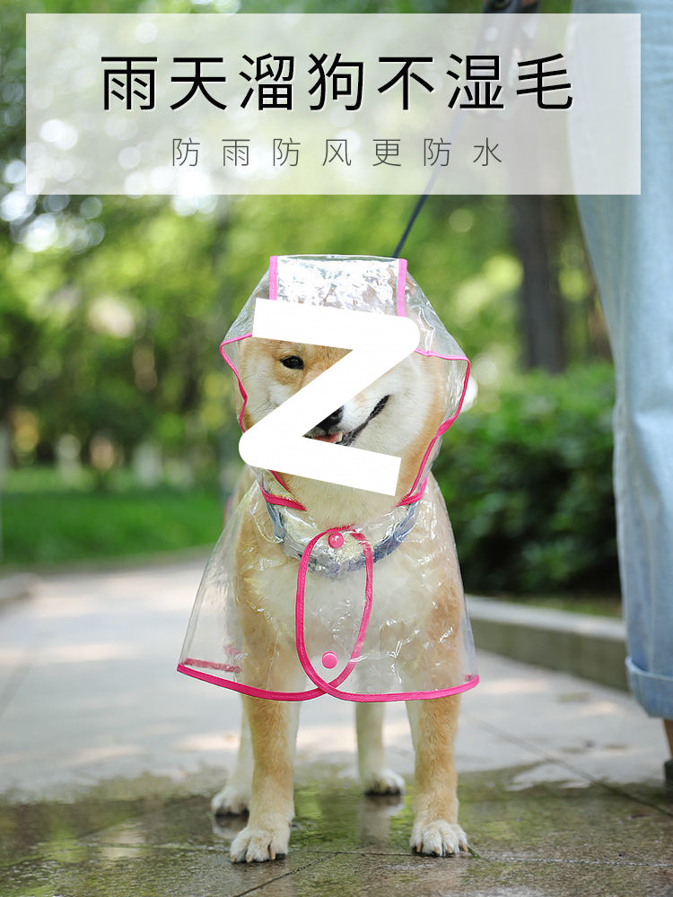7c49ea36-b52c-449c-9e27-6e241576e2d7.jpe