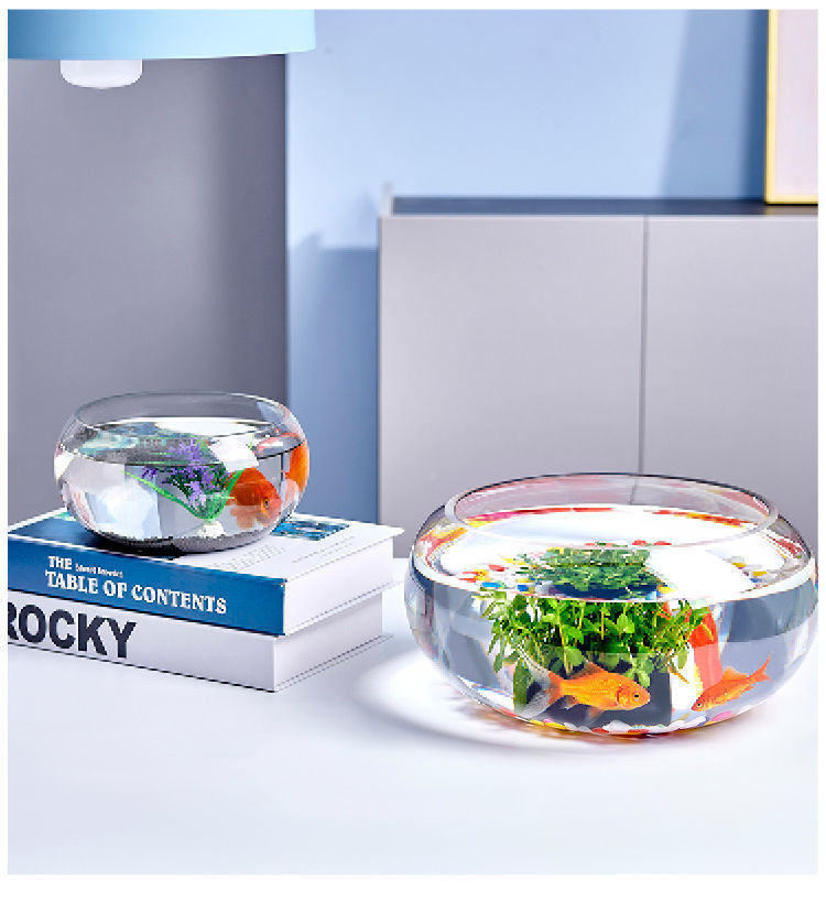 01f0d95a-c95c-4d55-a379-9f78f3d6f86b.jpe