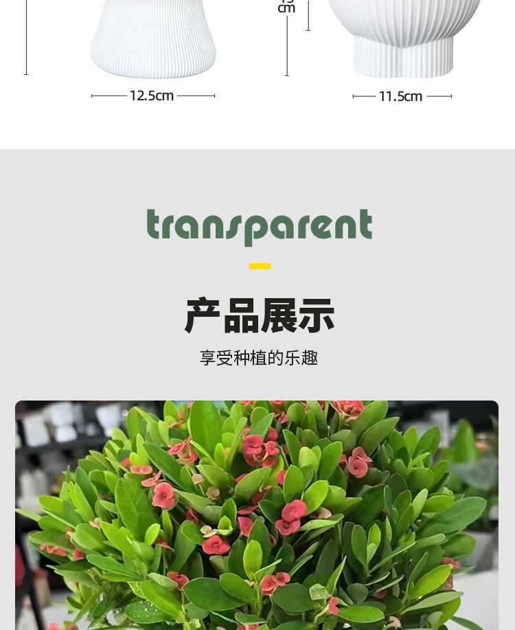 d3126b40-6d54-4701-911d-100283e01044.jpe