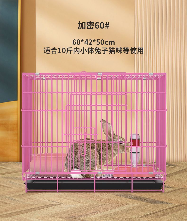 450e9895-0f76-4df9-bcc8-27c81682f835.jpe