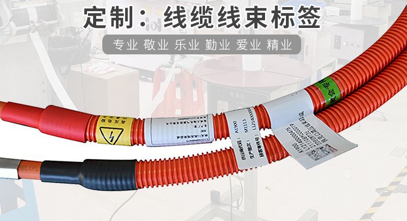线束详情_02.jpg