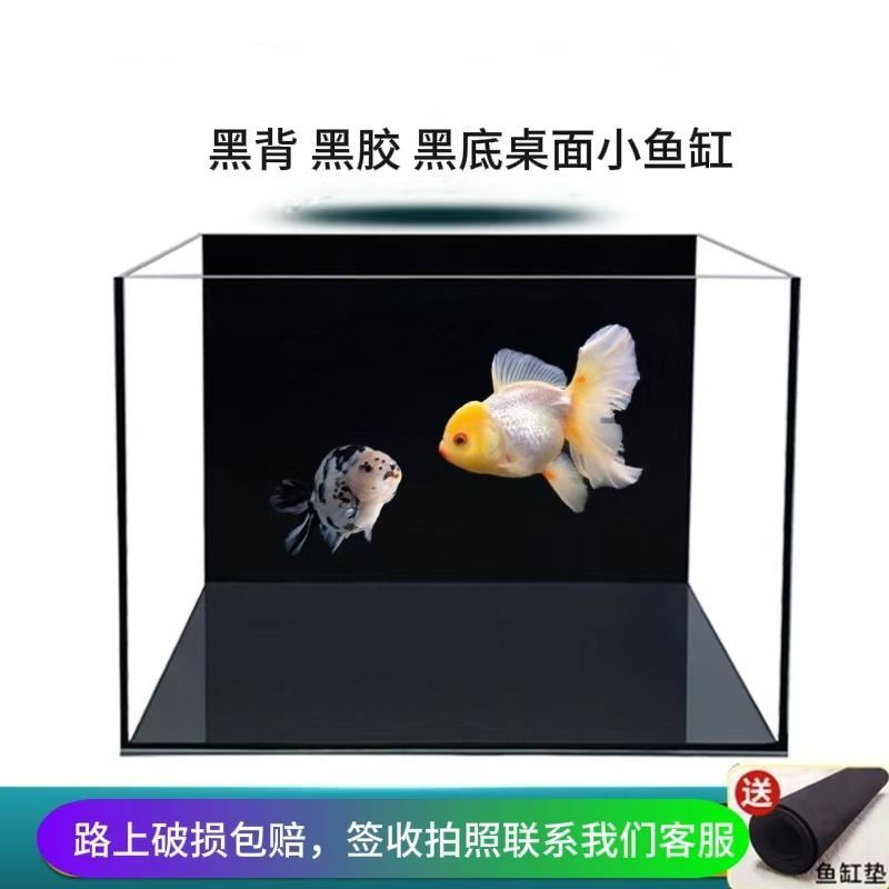 aded712b-161e-4082-bdee-afa53f6cb00b.jpe