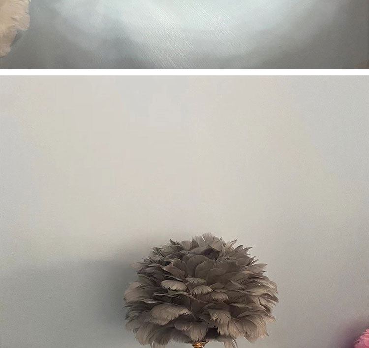 T6002羽毛台灯详情图_06.jpg