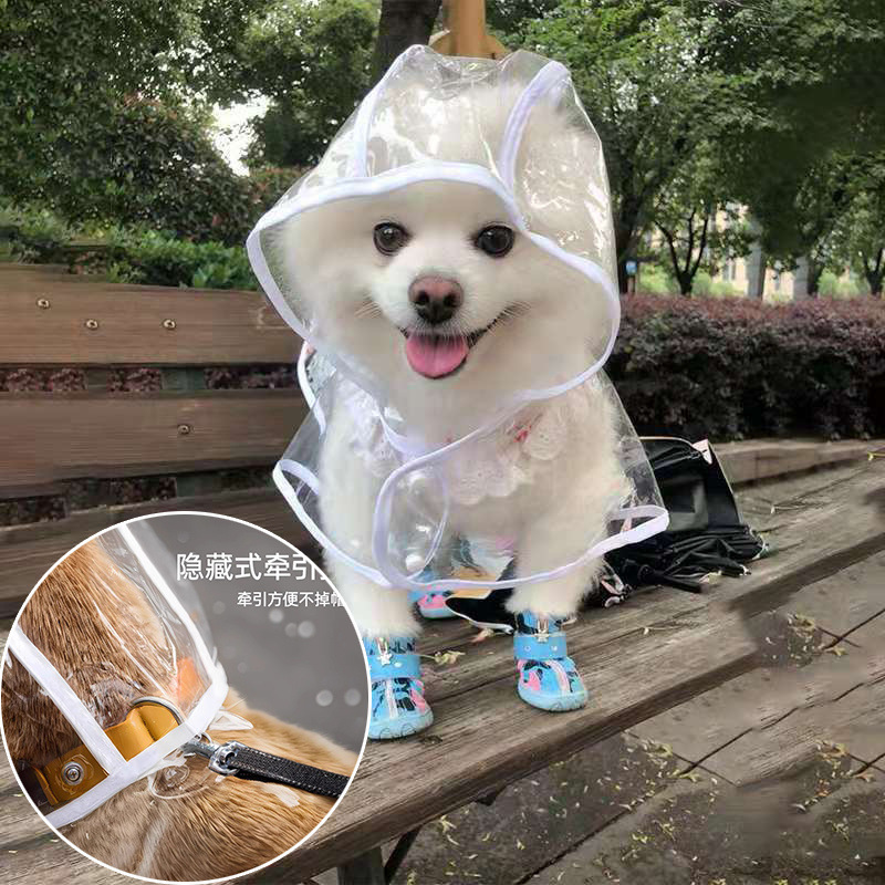 0b36b9ea-ddb6-44cb-bfe1-375e3167efe1.jpe