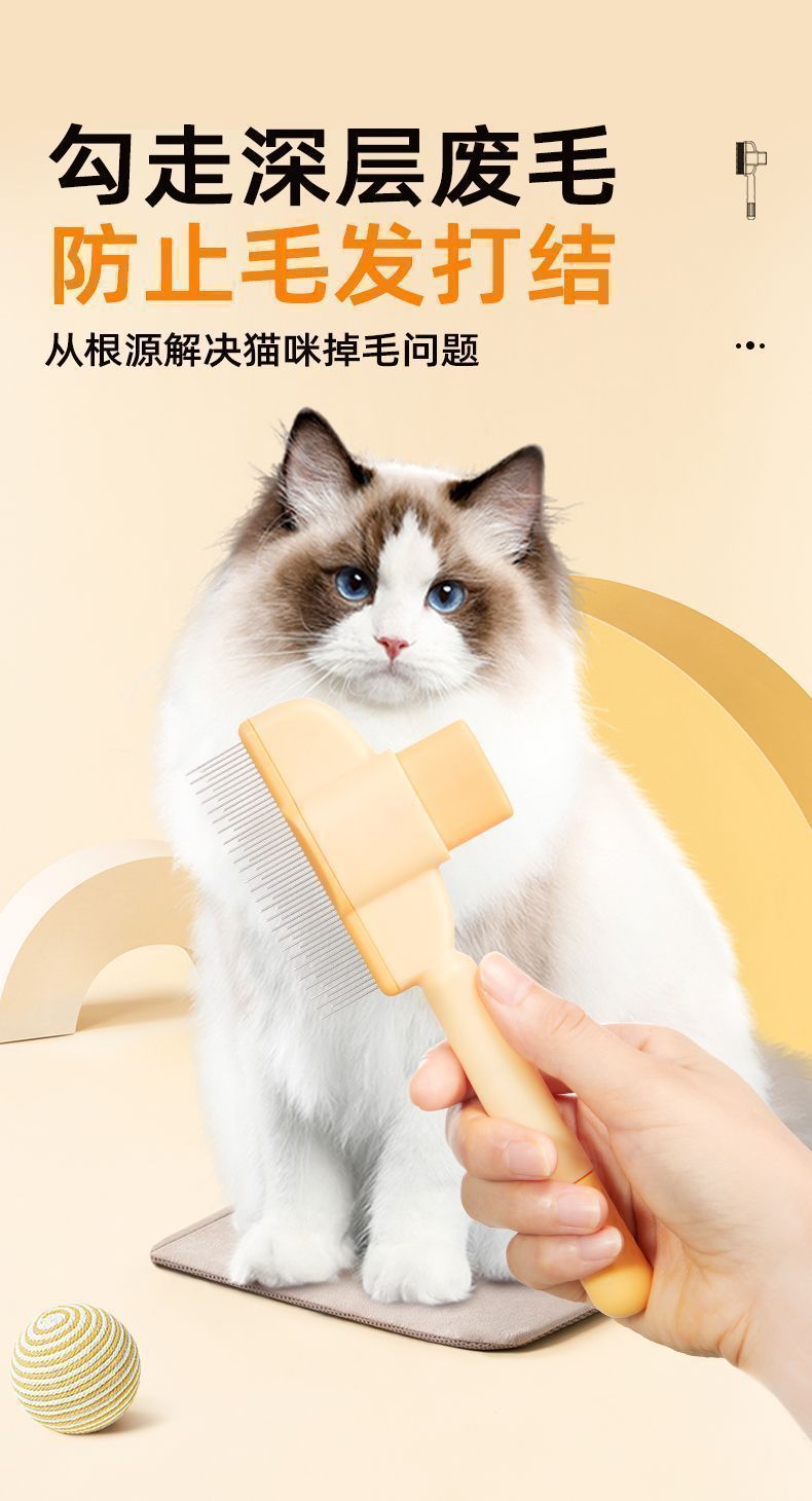 e84b3880-6e59-4bae-8e39-02408341178f.jpe