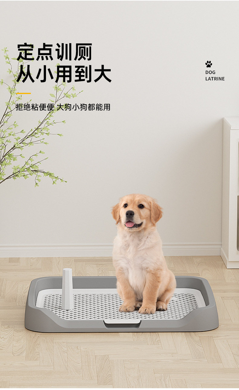 详情_03.jpg