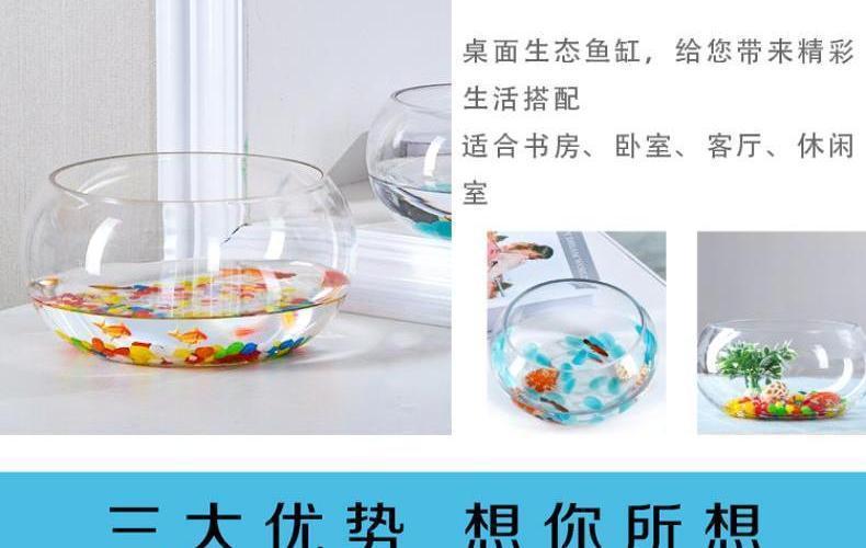 f3ead032-82d9-497a-b3a2-aed48cb3fa2d.jpe
