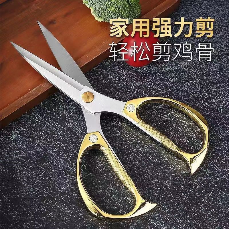 d5d2cd4f-ea1d-4334-aafa-4e972f42a87e.jpe