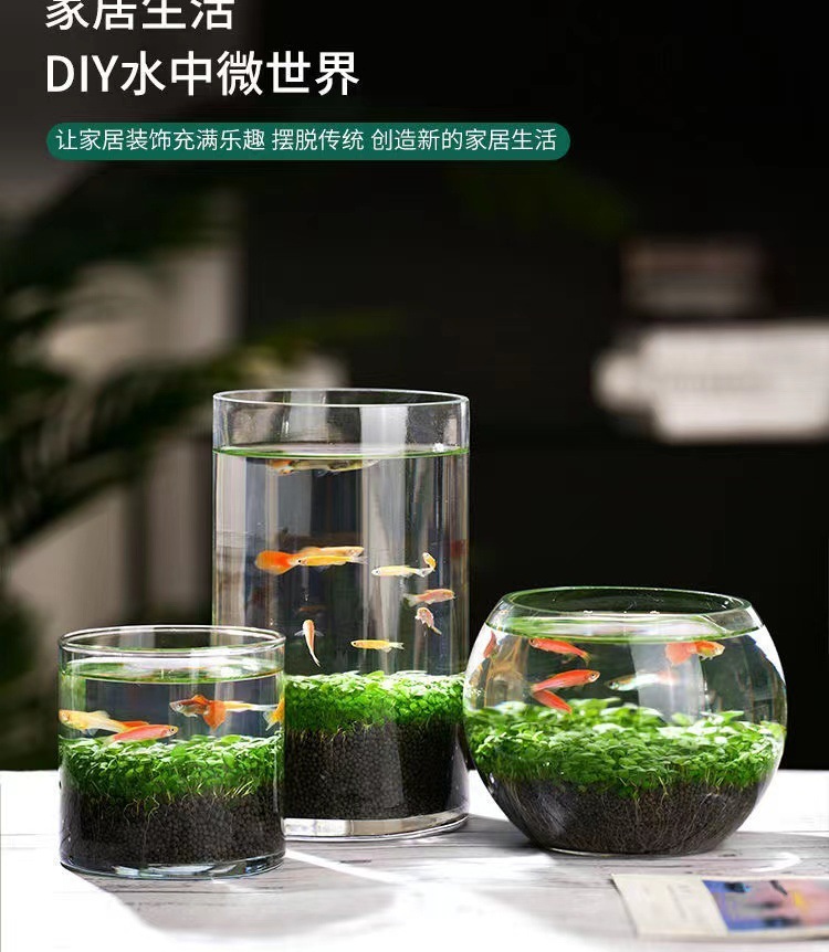 071cf742-96b1-4541-a352-796e98731913.jpe