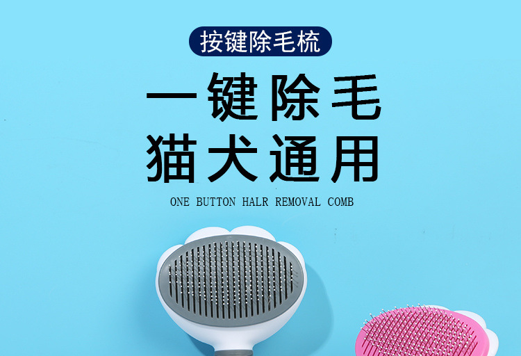 9708b39f-c91f-450d-bd3d-92bebe20a28d.jpe