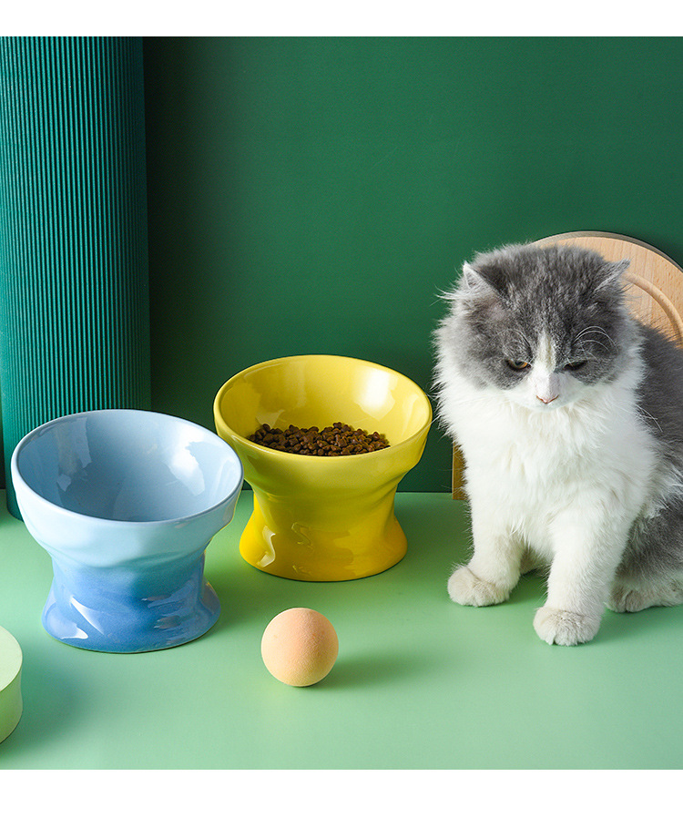 猫碗33_09.jpg