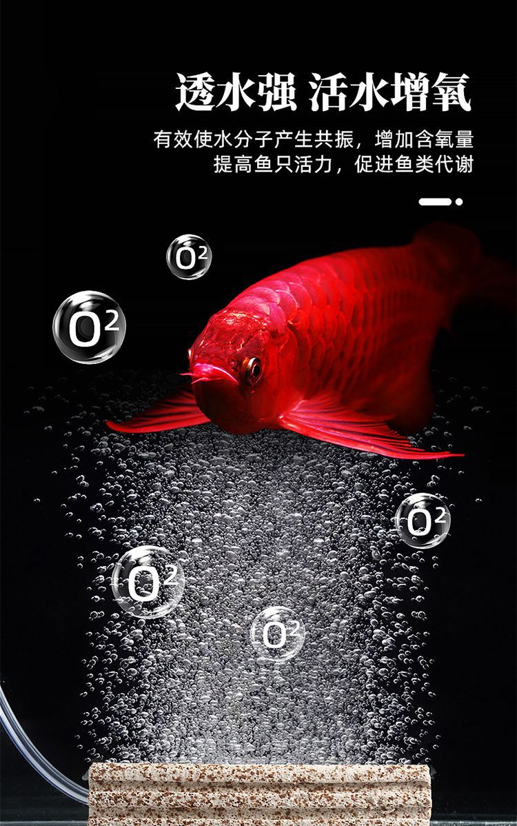 商品详情8