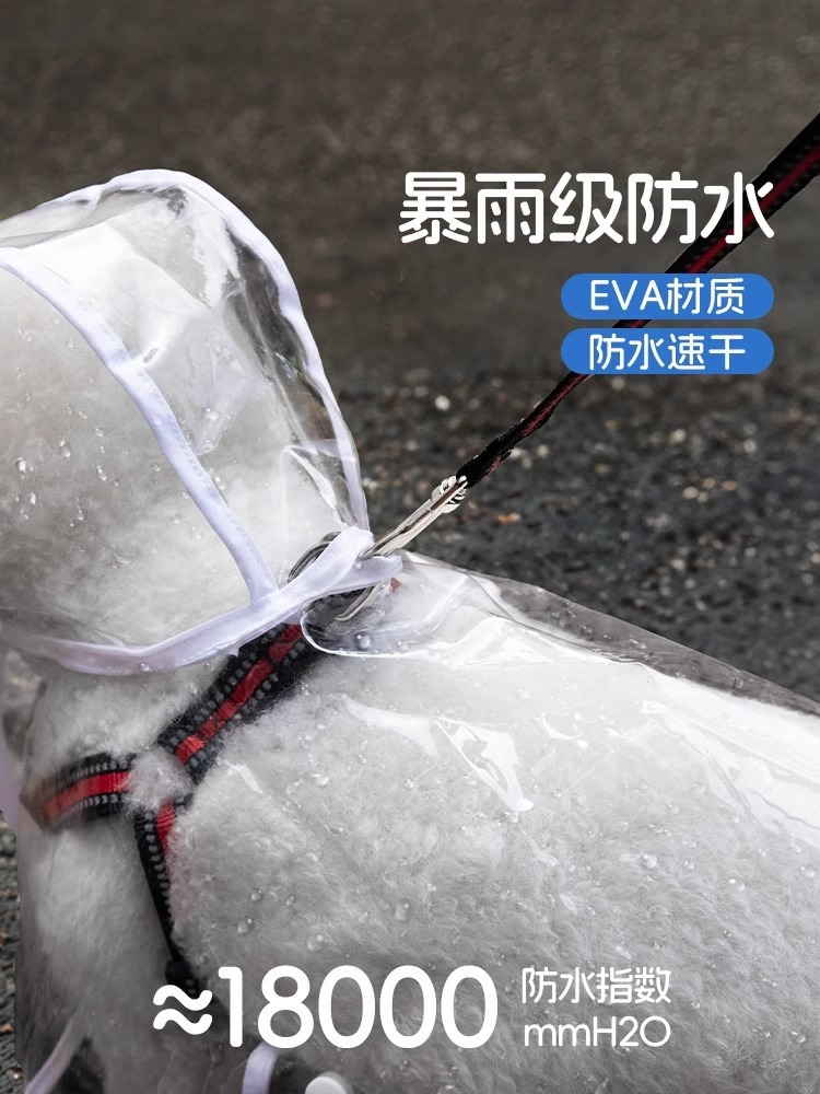 808a196c-d736-435d-8904-2ca5006961e7.jpe