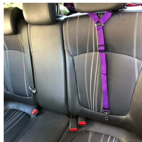 微信截图_20220929122555