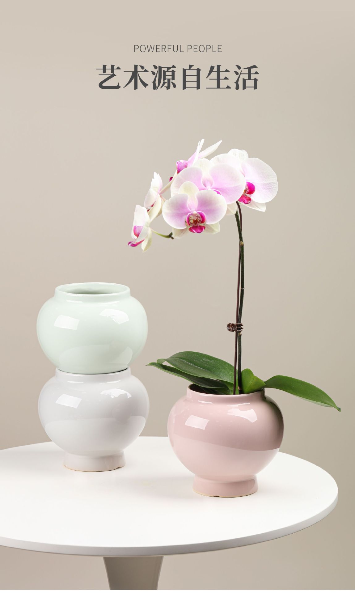 花盆8大图 (12).jpg