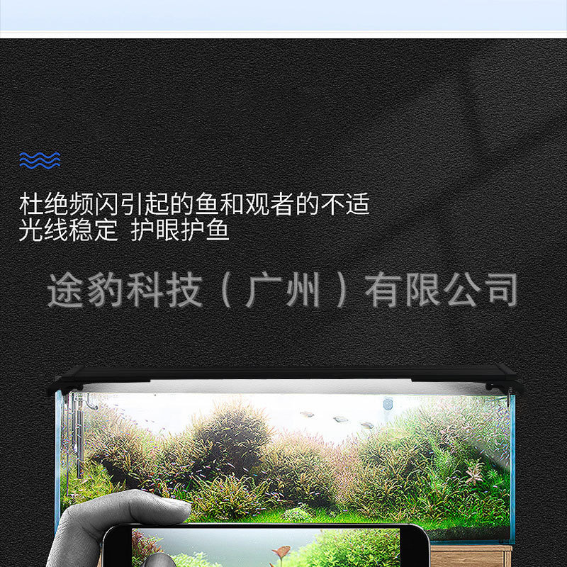 13139344142_1188112046