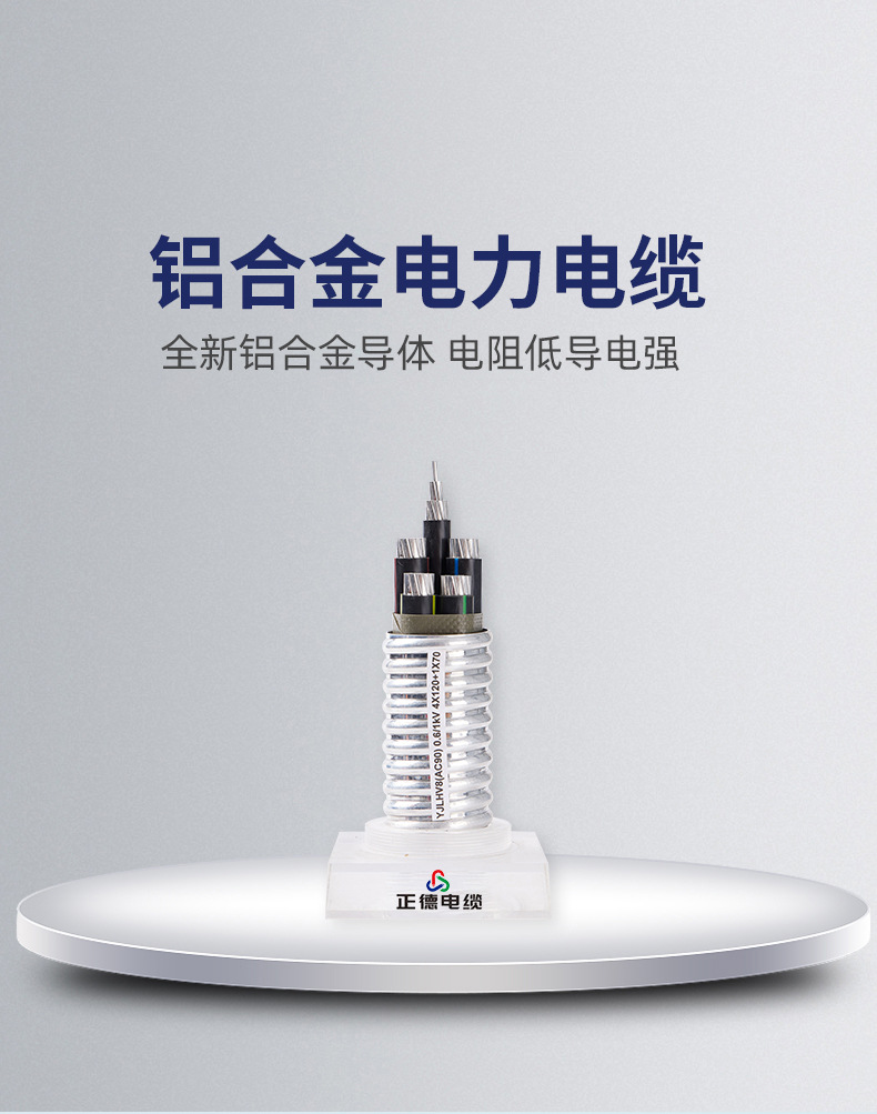 铝合金电力电缆01