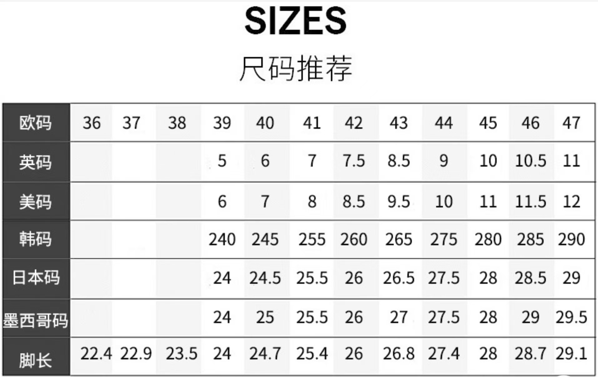 微信图片_20241222173509