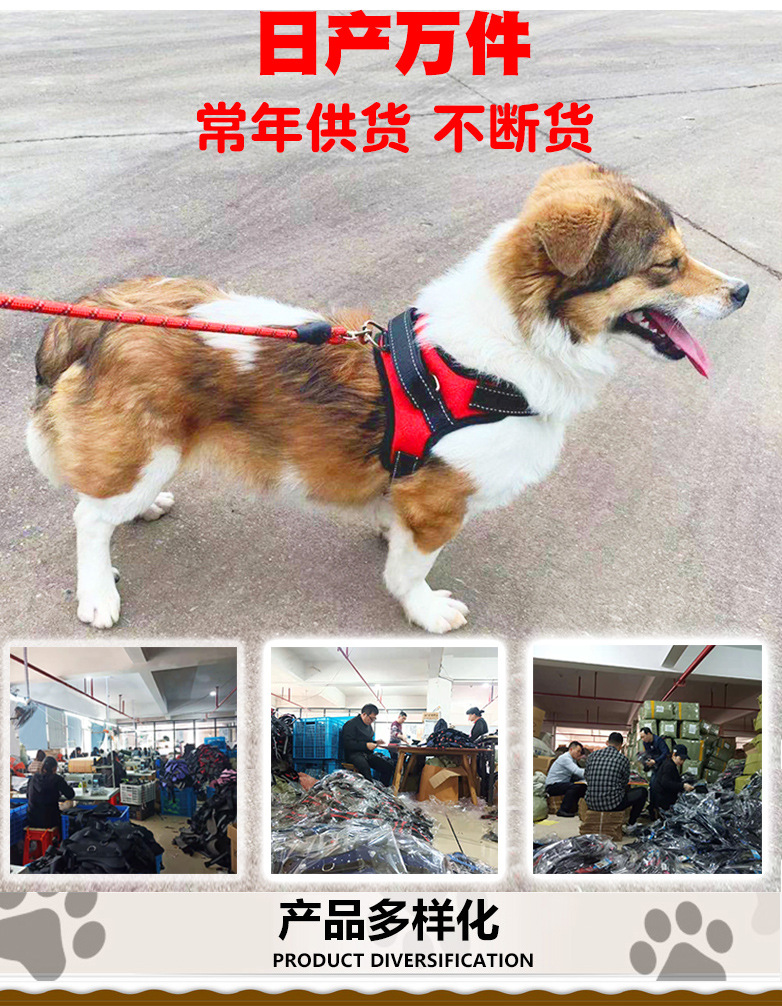 详情2
