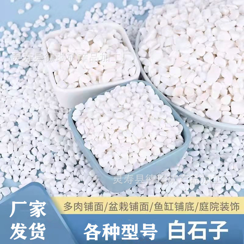 微信图片_20230409110124.jpg