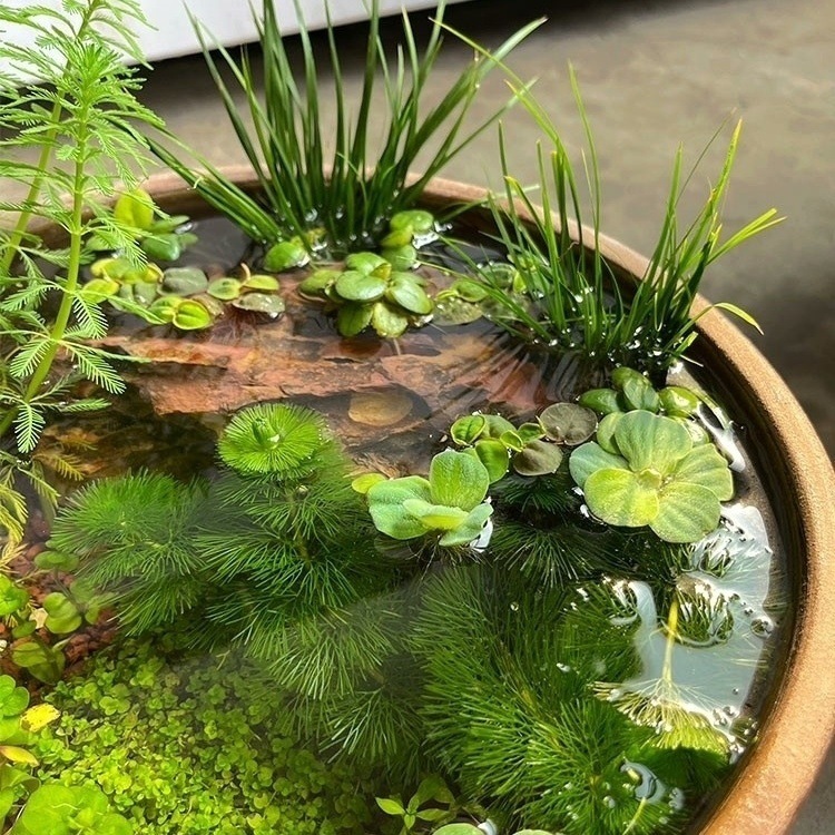 a5c34d6b-21a6-4bfa-87df-d378ed7ba944.jpe