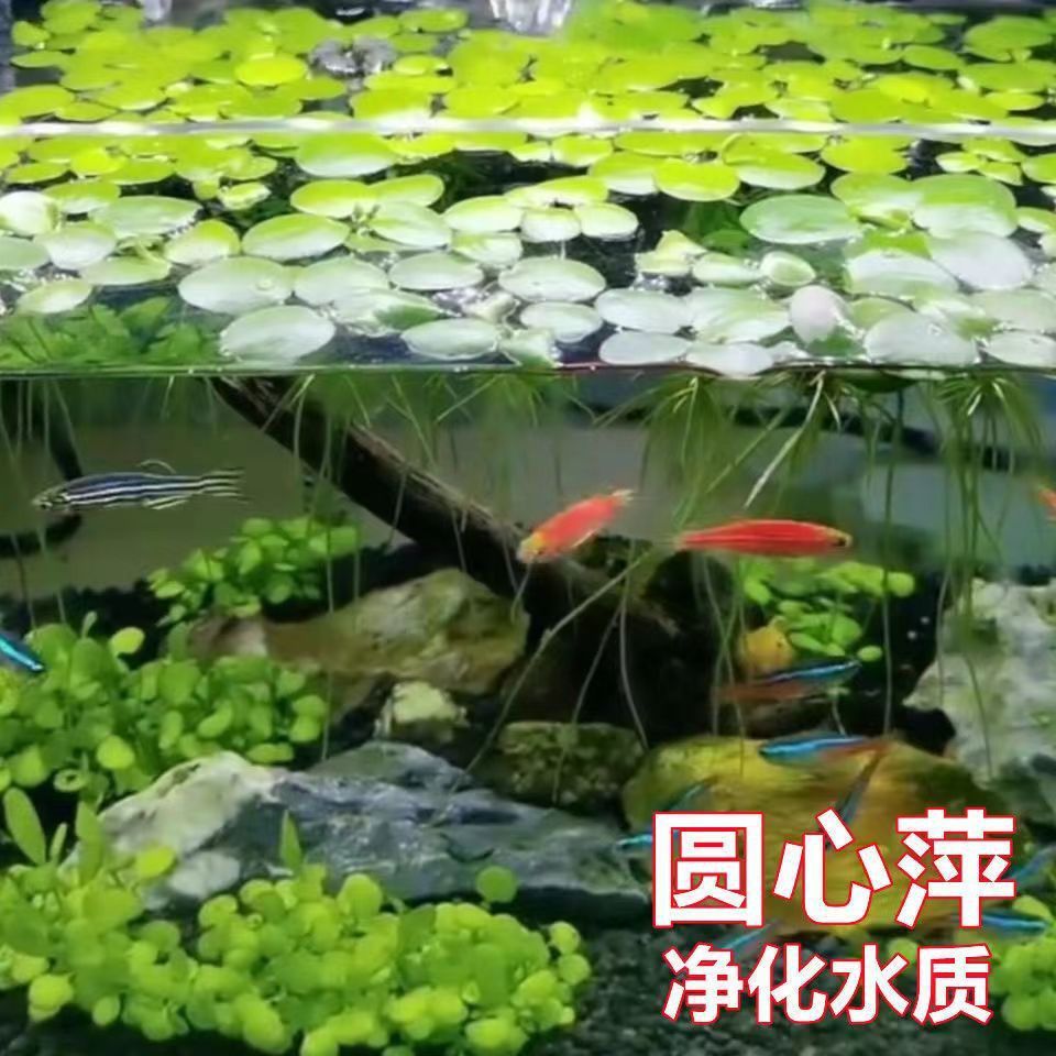 eadd8782-d03e-4ed4-9113-6936c77b995b.jpe