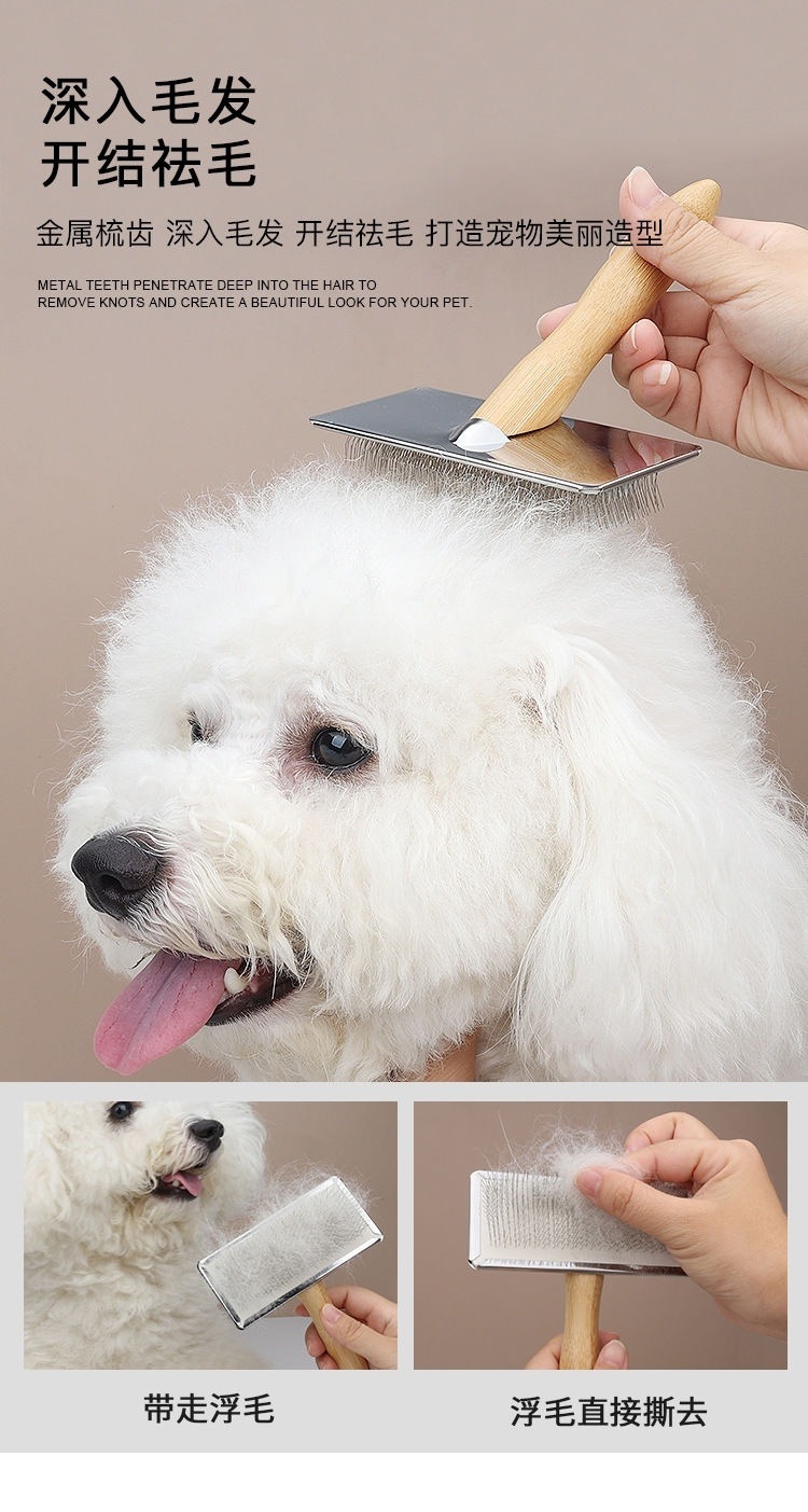 99a60a60-1e32-4269-bc43-15111fd0de08.jpe