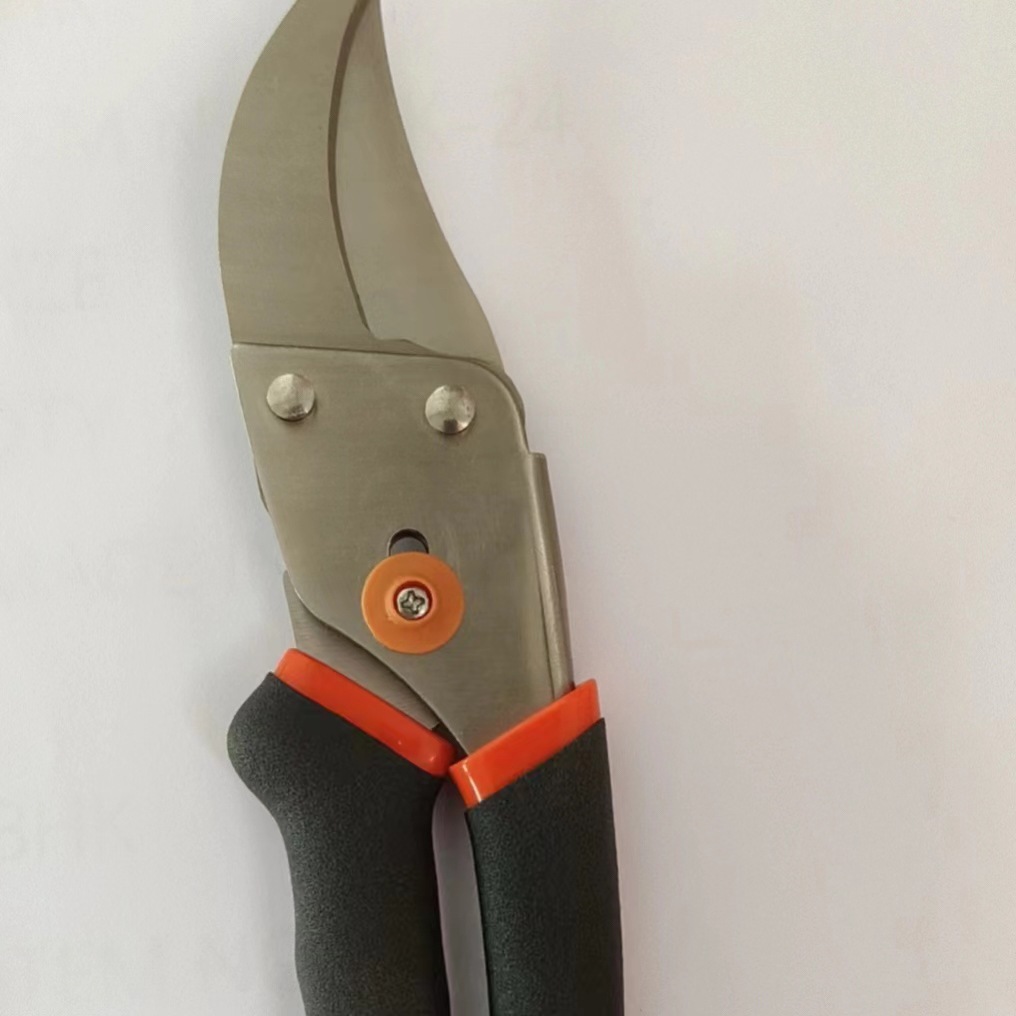 微信图片_20240429094810