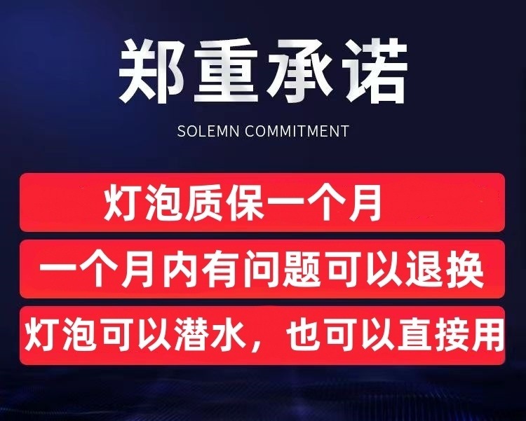 5903057b-5e34-4dee-9011-c5fc7840f5ec.jpe