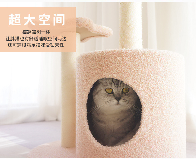 O1CN01ze8MS521ruSzjSPIy_!!1863