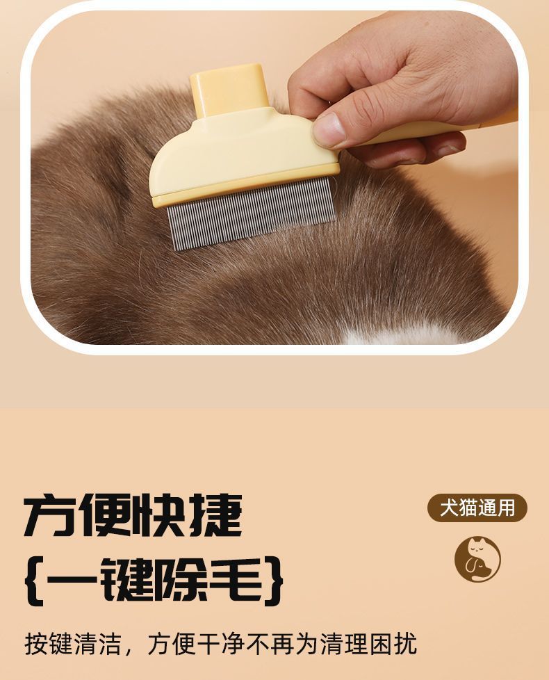 82f39d40-581d-4aaa-9d72-a6c63b77ea79.jpe