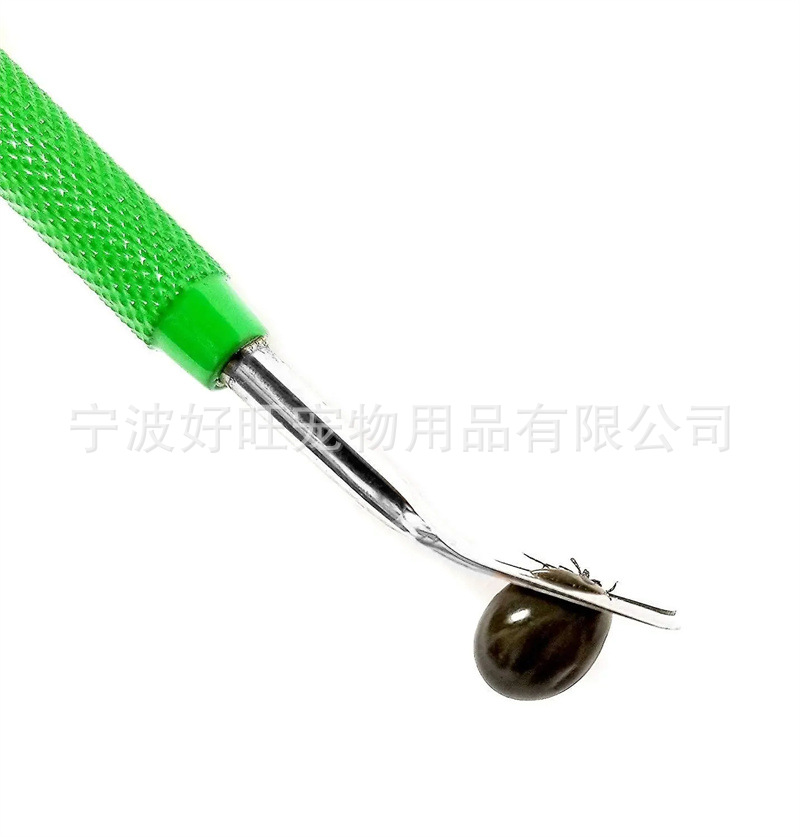 绿色2个装 (3)
