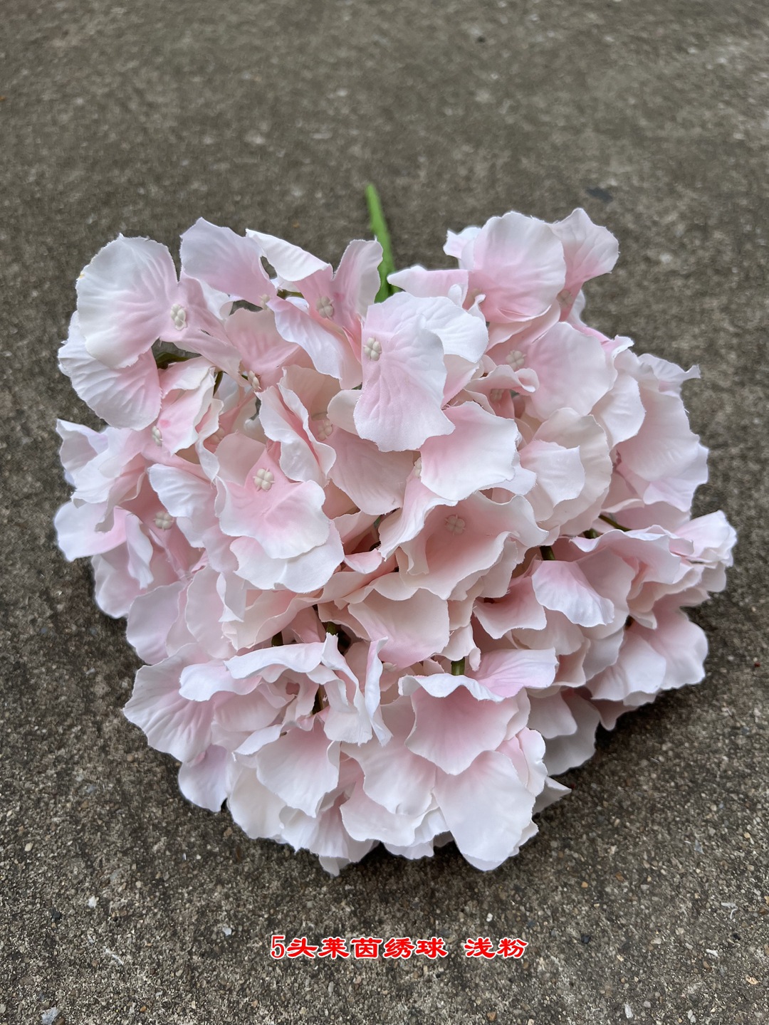 微信图片_20220818113644