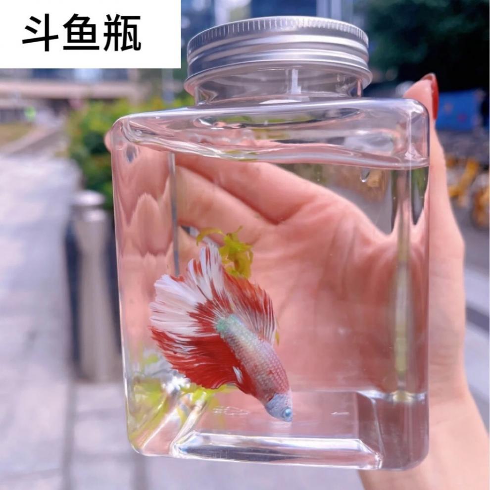 4df1ec2c-cb75-47b1-b3c7-6aac0f4fdf71.jpe