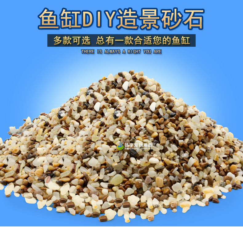 鱼缸底沙-1_01.jpg