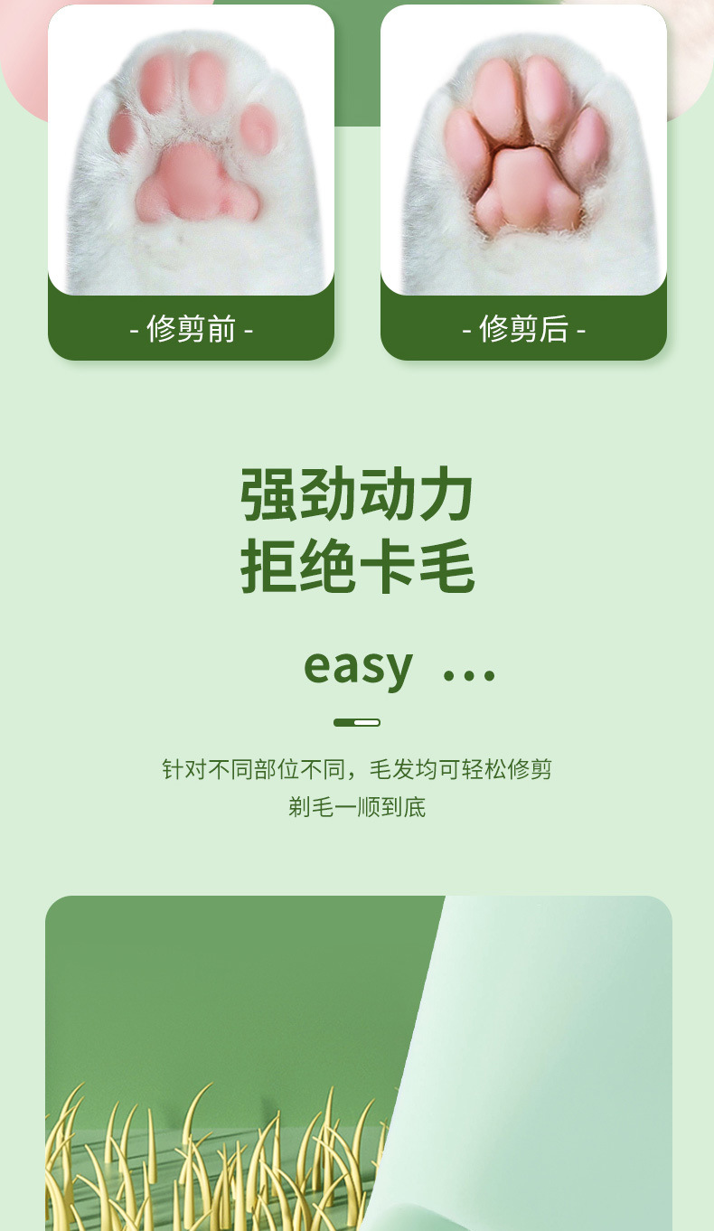 501b4510-20fa-4bfb-bb7d-79d3355ba1f7.jpe