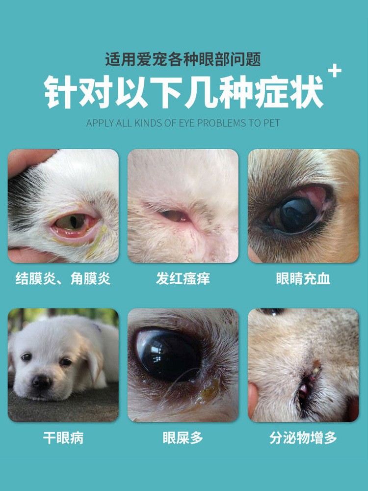 22930286875_1773480598