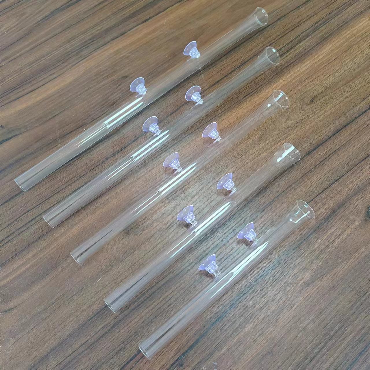 水晶虾喂食管 (11).jpg