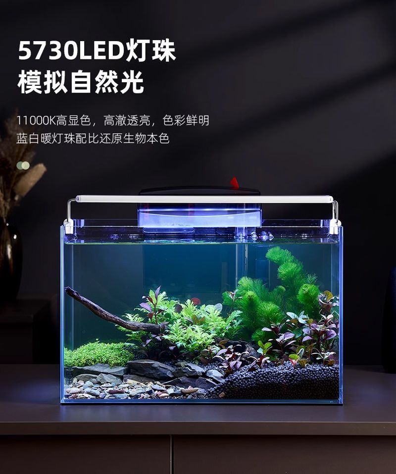 13a4b179-cb65-492c-9461-ced7cf372bea.jpe