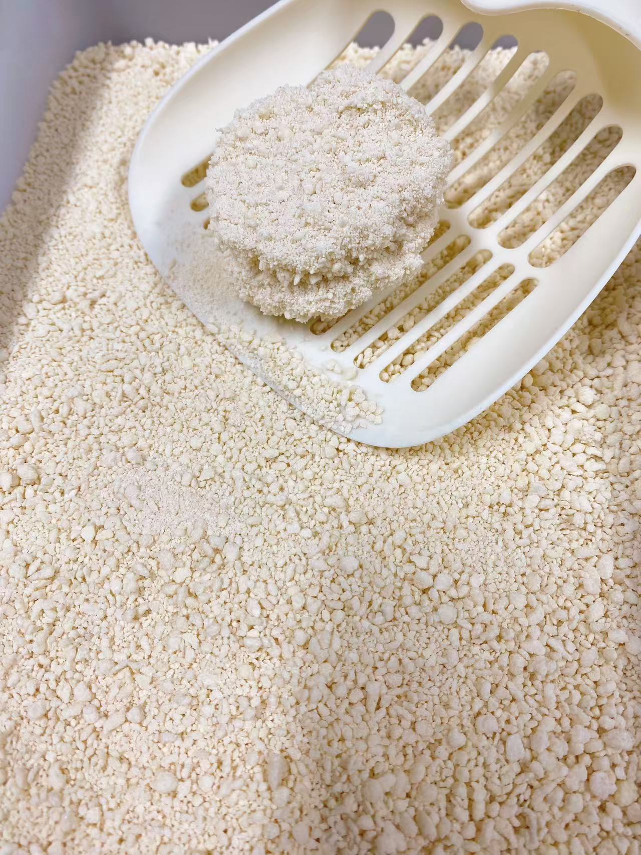 微信图片_20241219094106